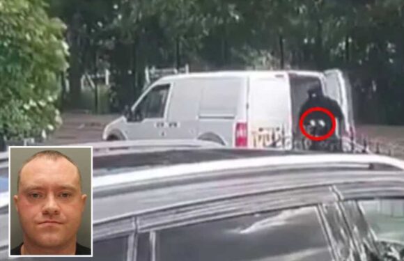 Inside ‘Will Young’ gangster jailed for ‘Guy Ritchie film’ masked machete raid to steal £1M from rival's stash house | The Sun