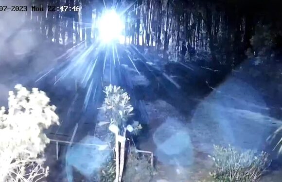 Is THIS the moment Maui's killer fires started?