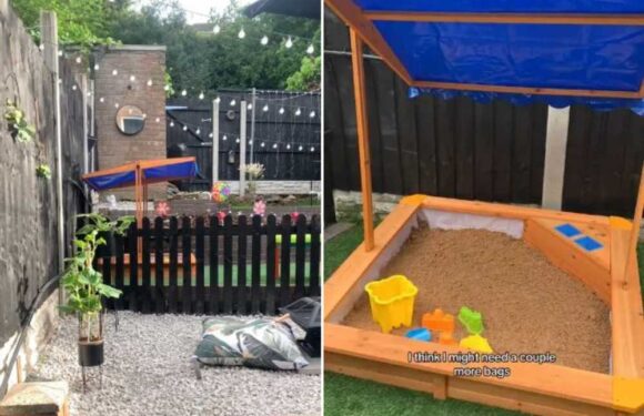 I’ve transformed my neglected garden into a dream oasis using bargain buys from Lidl and the Range – people are stunned | The Sun