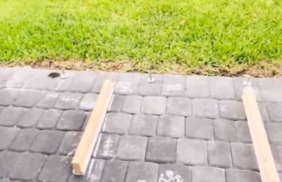 I'm a DIY girl who built my own privacy fence using an Ikea curtain rod – people say they 'love my set-up' | The Sun