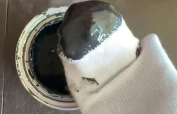 I'm a DIY whizz and have found the perfect 80p trick to paint your home and you'll never need a paintbrush again | The Sun