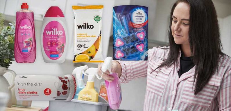 I'm a cleaning expert and here are the 5 best buys under £5 still on shelves at Wilko | The Sun