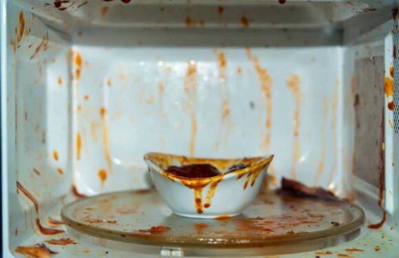 I'm an appliance pro – how to clean the inside of a mucky microwave and it's so much more effective than scrubbing | The Sun