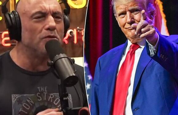 Joe Rogan says that Donald Trump is unbeatable in the GOP primary race