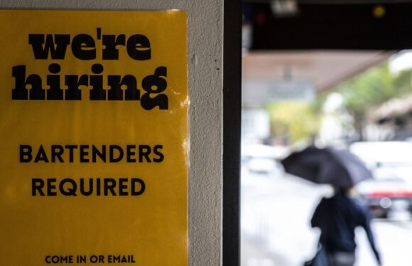 Jump in unemployment ‘final nail in the coffin’ for another rate rise