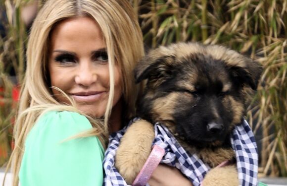 Katie Price blasted by fans for hitting puppy as they call for pet ban