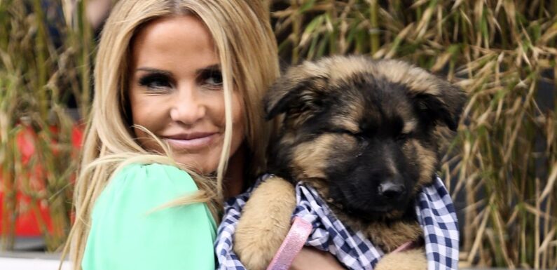 Katie Price blasted by fans for hitting puppy as they call for pet ban