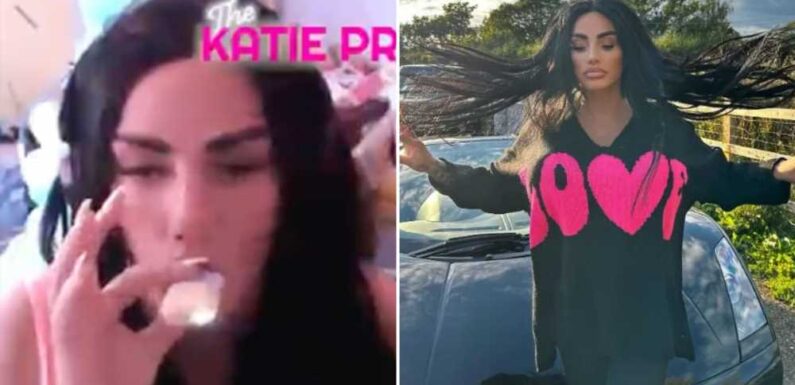 Katie Price mum-shamed as fans slam her and say ‘you’re a terrible example to kids’ | The Sun