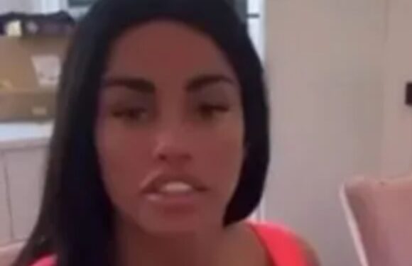 Katie Price reveals adorable new puppy after seven pets died in her care – before being BANNED from TikTok | The Sun