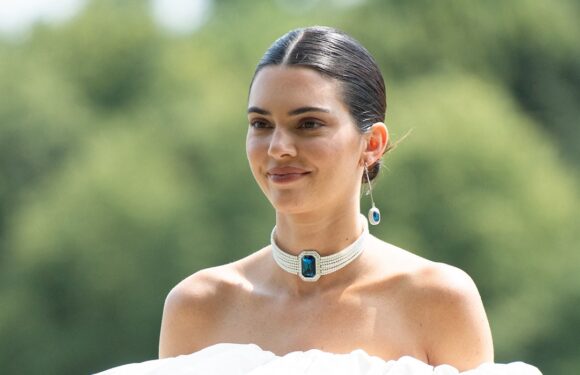 Kendall Jenner Looks Completely Captivating in a Silky White Skirt