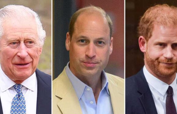 King Charles Puts William in Charge of Harry's Former Military Unit