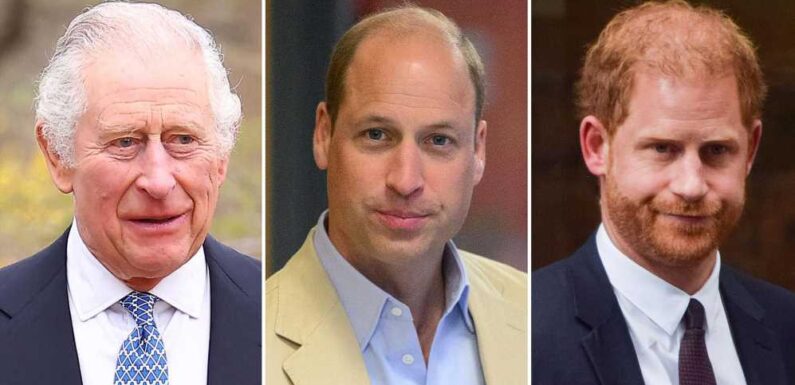 King Charles Puts William in Charge of Harry's Former Military Unit