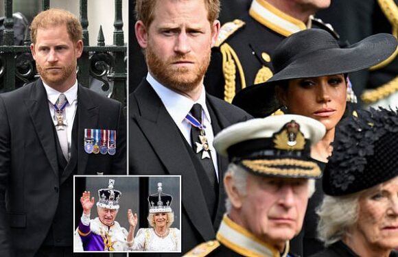 King Charles' rift with Prince Harry humanises him, says royal insider
