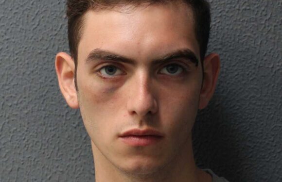 Knifeman who stabbed ‘Flower Man of Islington’ to death after blaming him for his mum’s suicide is jailed for life | The Sun