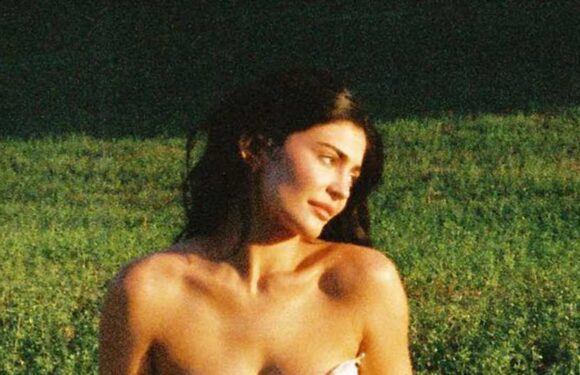 Kylie Jenner shows off side boob in plunging white dress on romantic picnic that fans think is with Timothee Chalamet | The Sun