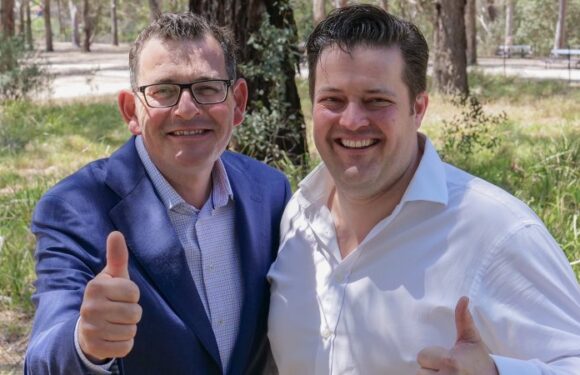 Labor MP Will Fowles resigns over alleged serious assault