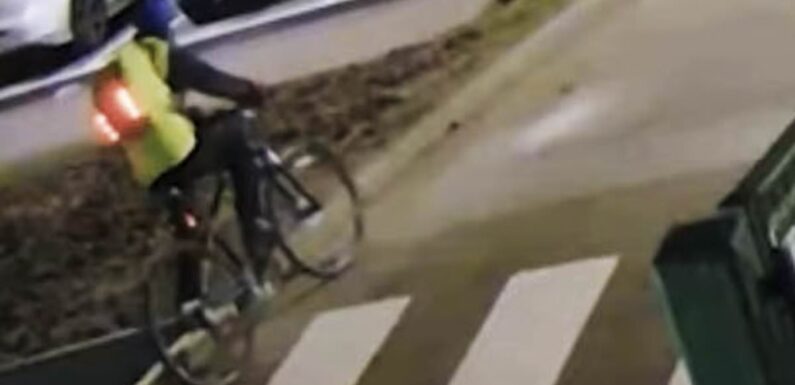 Last moments of cyclist before hit and run just days before Christmas