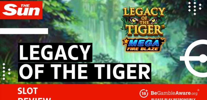 Legacy of the Tiger Slot Review: RTP, Bonuses and Tips | The Sun