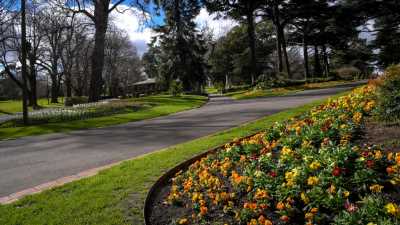 Man dies after altercation at Fitzroy Gardens