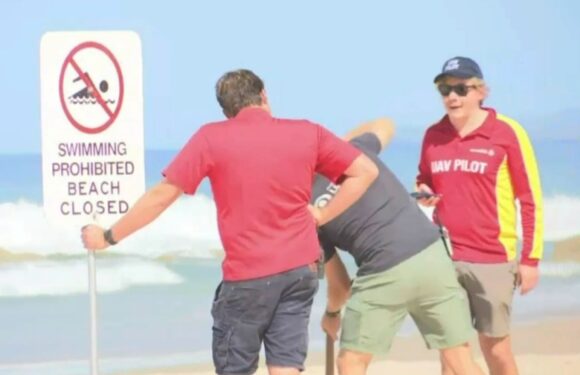 Man fighting for life after having foot 'ripped off' in horror shark attack as witness says victim was 'frozen' in fear | The Sun