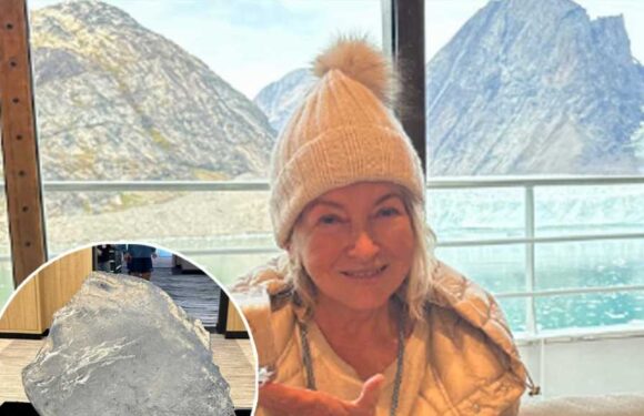 Martha Stewart Slammed for Using 'Small Iceberg' In Cocktail