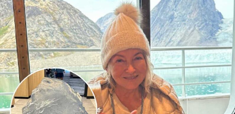 Martha Stewart Slammed for Using 'Small Iceberg' In Cocktail
