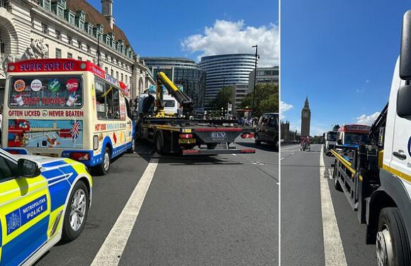 Met Police swoop on rip-off ice cream van charging £7 for 99 Flake