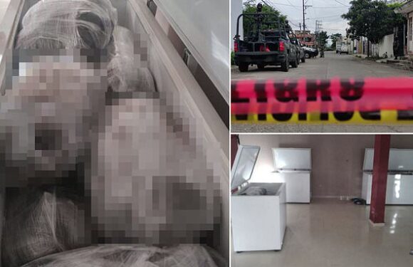 Mexico cops find frozen butchered bodies in cartel bolthole