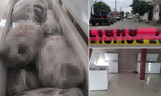 Mexico cops find frozen butchered bodies in cartel bolthole