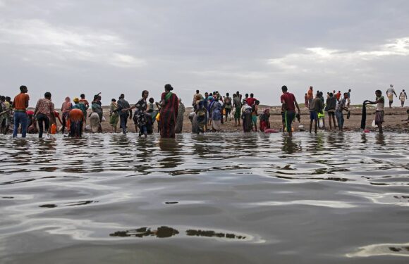 Migrants killed by border guards as they tried to enter Saudi Arabia