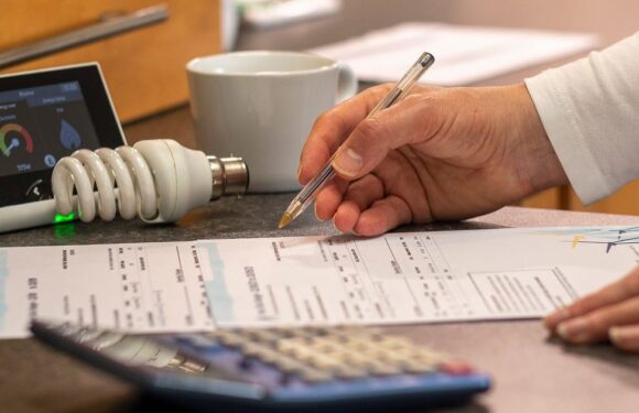 Millions of Brit households can apply for £600 energy bill support in weeks