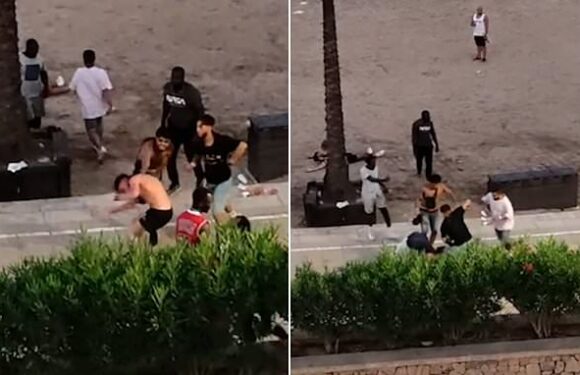 Moment Brits in Ibiza get into mass brawl with local street sellers