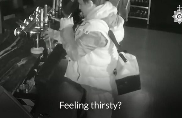 Moment thirsty thief helps himself to a pint of beer from hotel bar