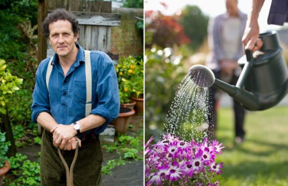 Monty Don reveals the easy gardening trick you need to do this weekend to make your flowers last loads longer | The Sun