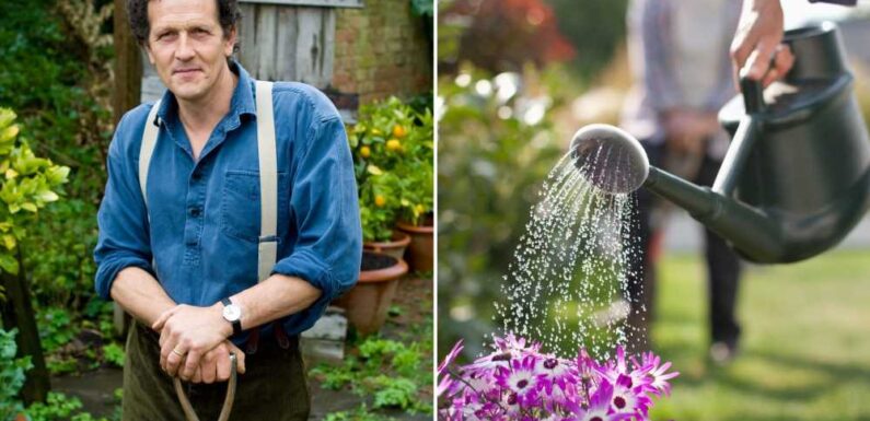 Monty Don reveals the easy gardening trick you need to do this weekend to make your flowers last loads longer | The Sun