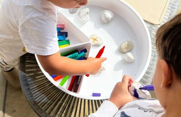 Mrs Hinch shares simple & cheap activity to keep kids busy without making a mess & you have the answer in your garden | The Sun