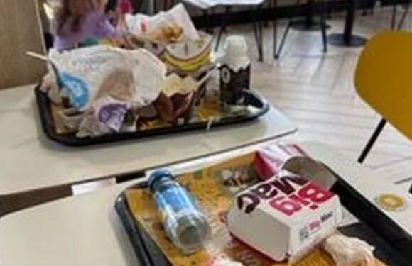 Mum boycotts UK McDonald’s with ‘p***ed off customers and swarms of flies’