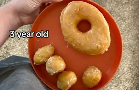 Mum gets shamed for giving her toddlers doughnuts for breakfast, pizza for lunch & then McDonald’s…but others can relate | The Sun