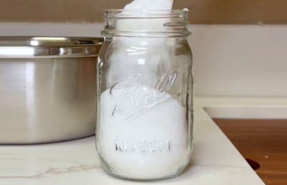 My 3-ingredient DIY freshener leaves your laundry smelling so good – it's more versatile than Downy Unstoppables | The Sun