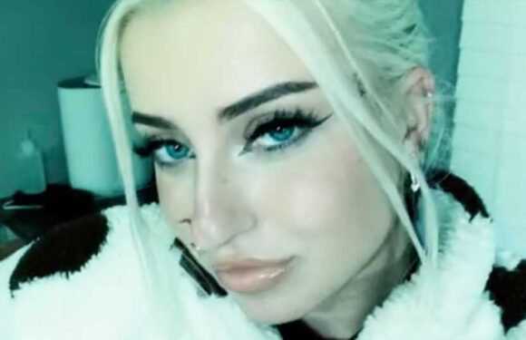 My DIY hack will get rid of invasive lanternflies – it's so easy, just add a little tornado action | The Sun