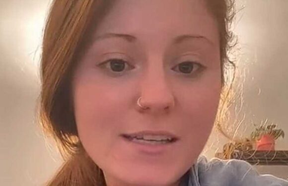 My cheap gardening hack is easy peasy and you can just use kitchen scraps – it works for indoor and outdoor plants | The Sun