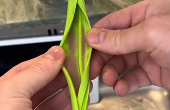 My favorite Amazon kitchen gadgets are all under $10 & make life easier – you’ll never burn your hand on the oven again | The Sun