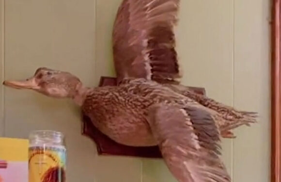 My home is tacky and cluttered – I don't care what people think, I'm going for a church rummage sale vibe | The Sun