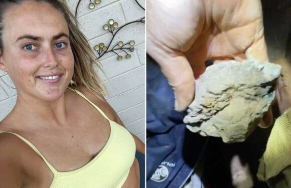 My life changed forever when I discovered a rock worth £100,000 in the dirt underneath my childhood playground | The Sun