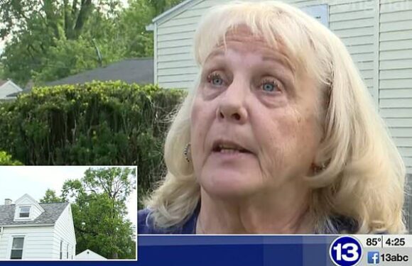 My neighbour won't chop down his tree and can't keep repairing damage