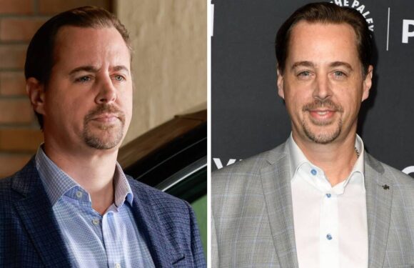 NCIS Timothy McGee isnt actually an original star of the CBS drama