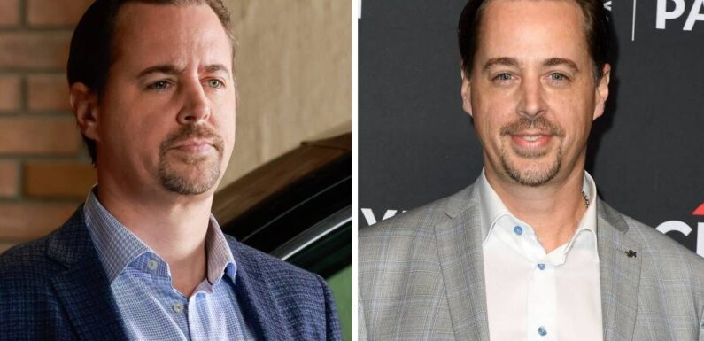 NCIS Timothy McGee isnt actually an original star of the CBS drama