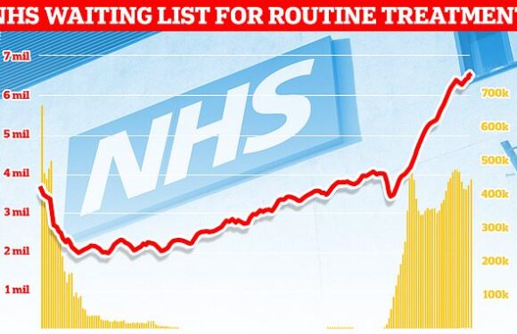 NHS 'goes private' to tackle Covid-era waiting lists
