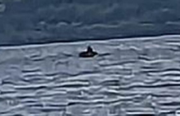 Nessie hunter claims he's spotted the elusive monster