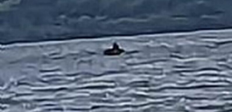 Nessie hunter claims he's spotted the elusive monster